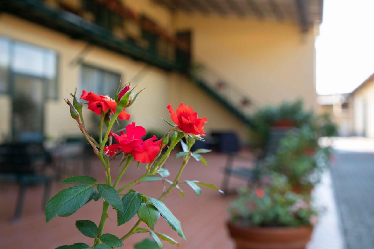 Al Frantoio Maddii Bed & Breakfast 2*