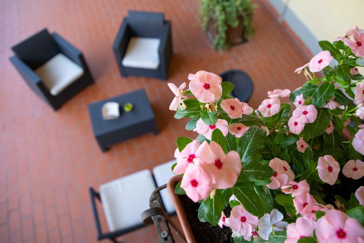 Al Frantoio Maddii Bed & Breakfast Levane