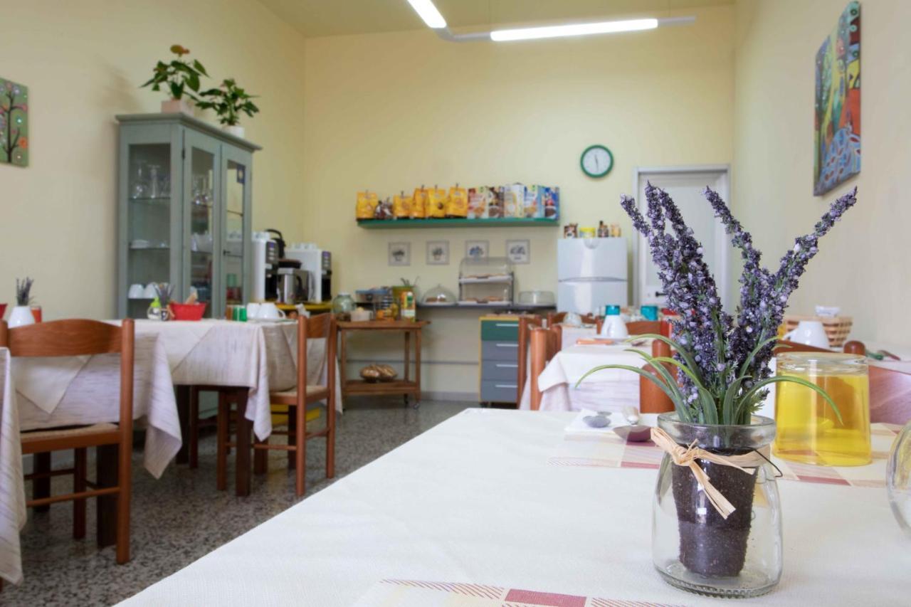 Al Frantoio Maddii Bed & Breakfast Levane